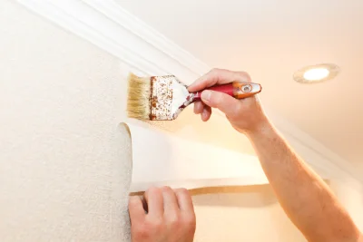 Pose de papier peint à Devrouze — revêtements muraux et toiles de verre